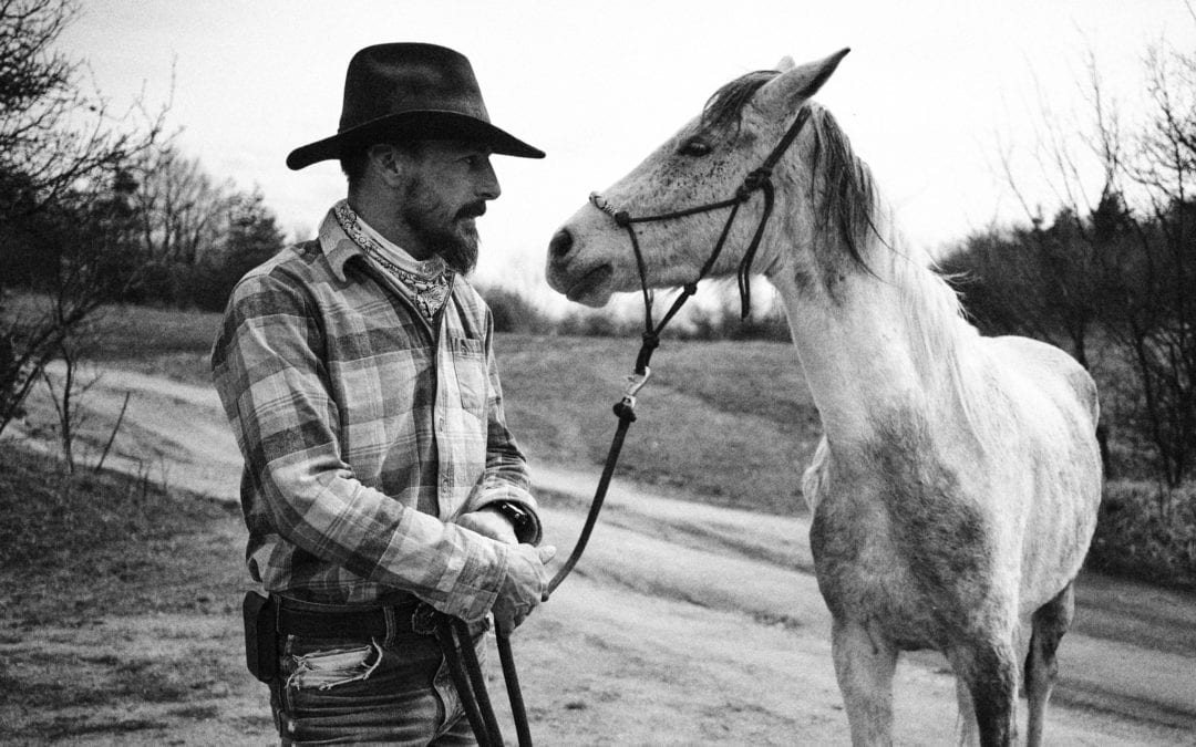 Talks with horses