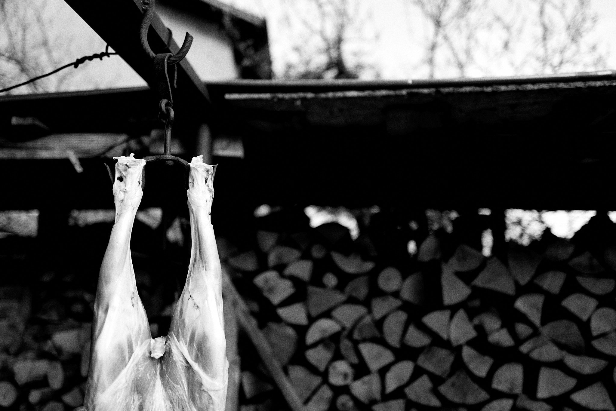 The lamb hangs upside down in order for all the blood to run out, Yarlovo, Bulgaria 2021 © Asen Velichkov