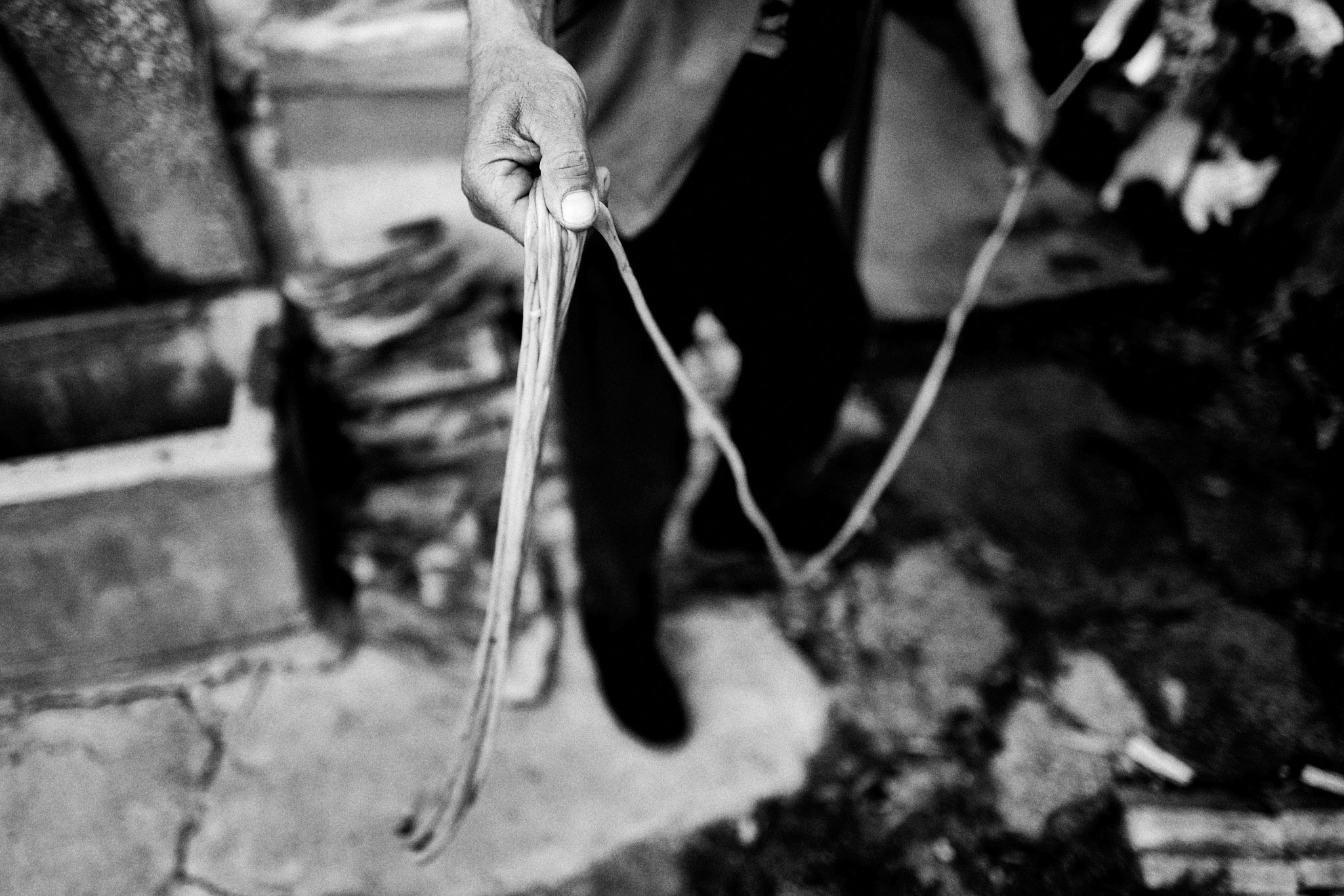 Lamb’s guts are an important ingredient for the kurban soup, Yarlovo, Bulgaria 2021 © Asen Velichkov