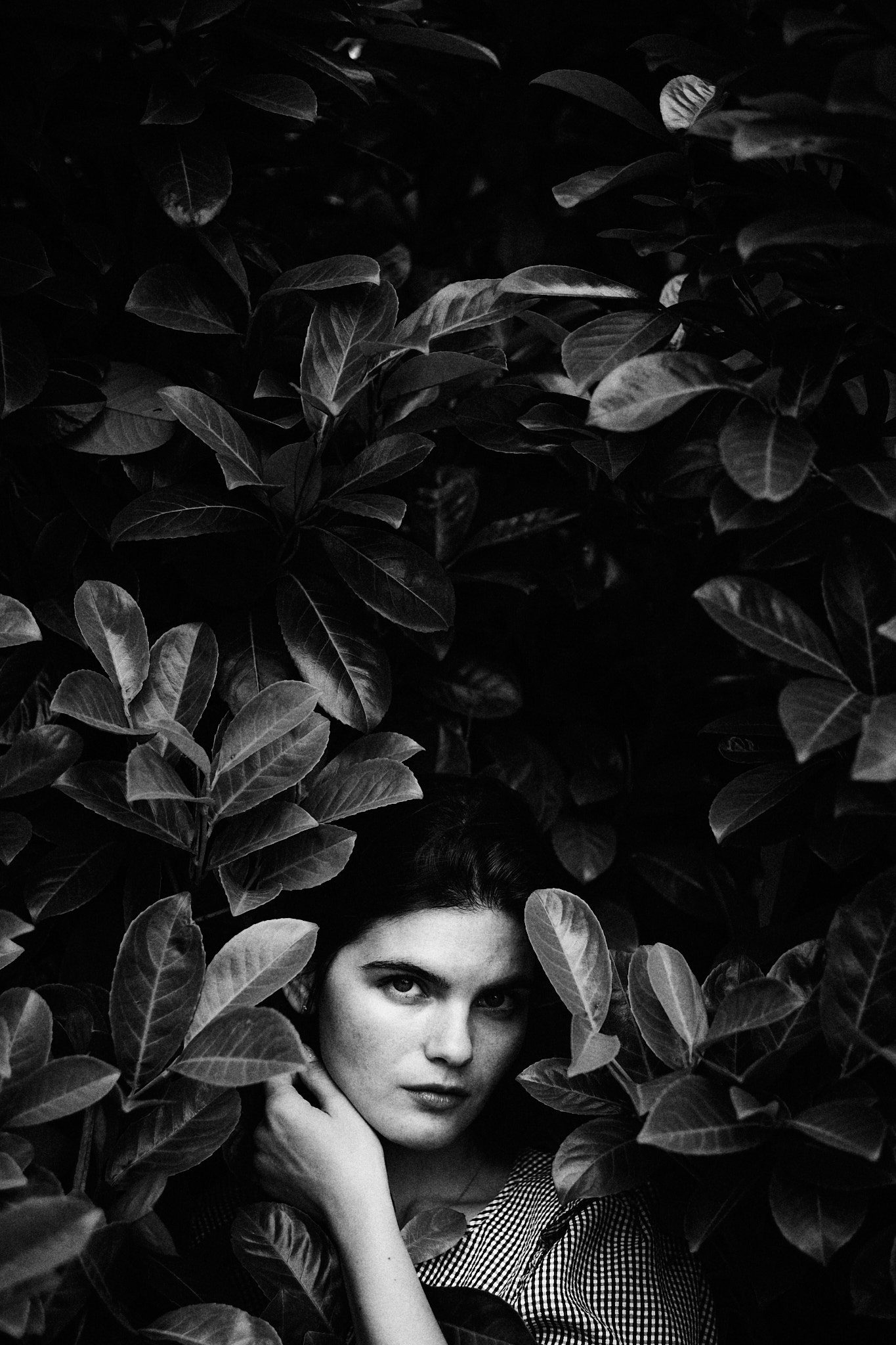 © Asen Velichkov